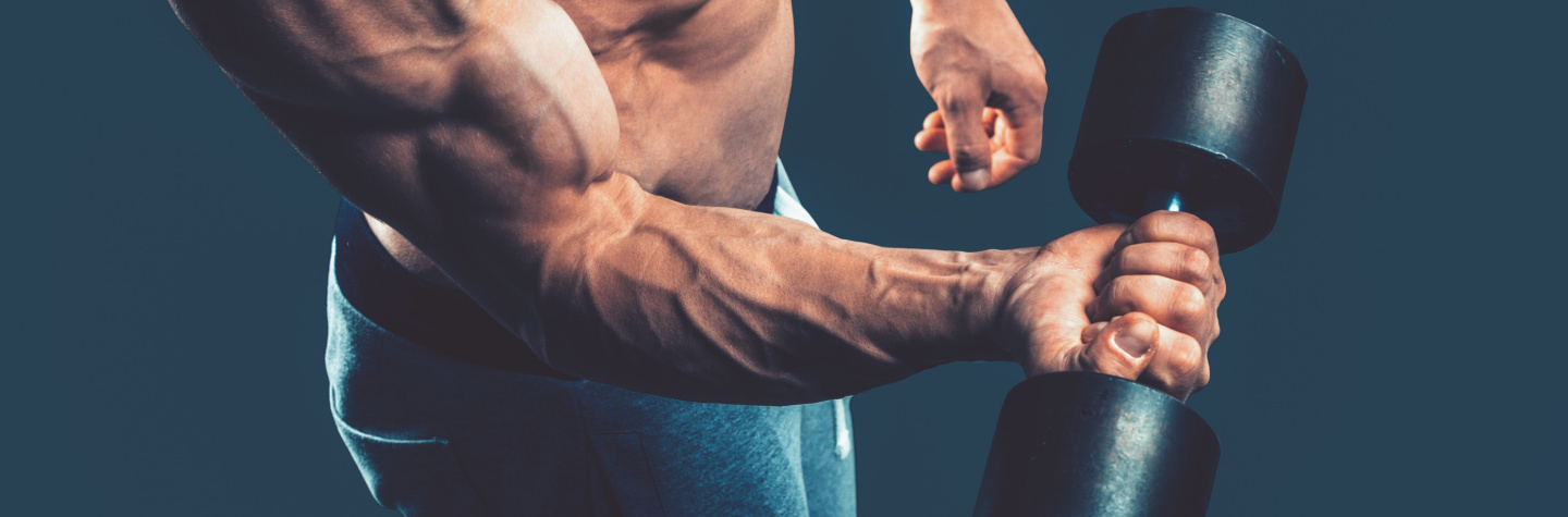 Curls
Underarme Curls
Underarme